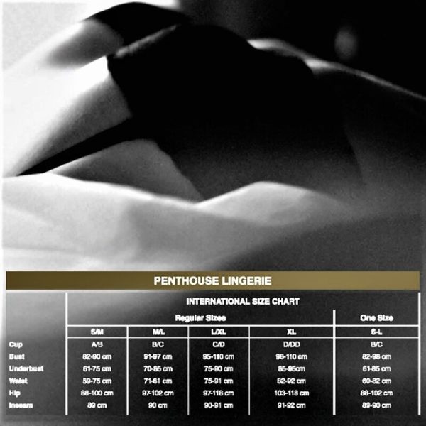 CALCETINES PENTHOUSE SIN EXCUSAS XL - Imagen 3